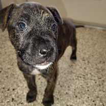 Thumbnail photo of BERMUDA 0042 #2