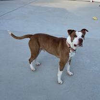 Thumbnail photo of Flame #4