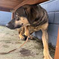 Thumbnail photo of Lani #2