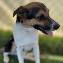 Thumbnail photo of Bentley #2