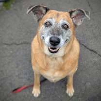 Thumbnail photo of Sandy #4