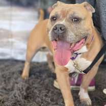 Thumbnail photo of Churchill #2