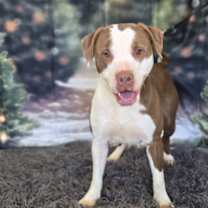 Thumbnail photo of Taz #2