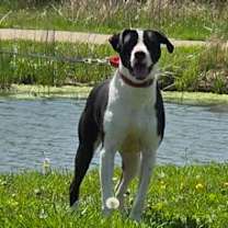 Thumbnail photo of Mike #2