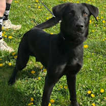 Thumbnail photo of Kevin #3