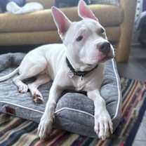 Thumbnail photo of Paddy Cakes #2