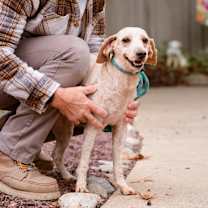 Thumbnail photo of Lila #1