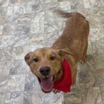 Thumbnail photo of Bellamy #2