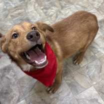 Thumbnail photo of Bellamy #4