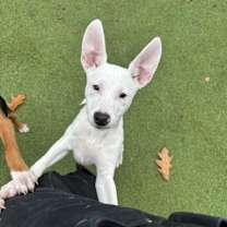 Thumbnail photo of Medley (Mall of NH) #1