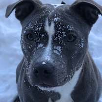 Thumbnail photo of Ivy #1