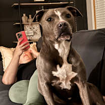 Thumbnail photo of Ivy #2