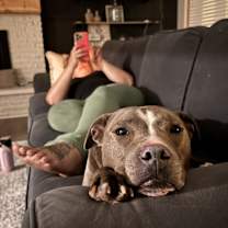 Thumbnail photo of Ivy #3