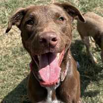 Thumbnail photo of Dougie KA #1