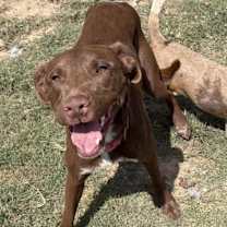 Thumbnail photo of Dougie KA #3