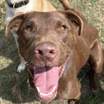 Thumbnail photo of Dougie KA #4