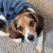 Thumbnail photo of Noah #2