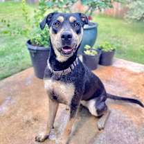 Thumbnail photo of Reyna EM* #1