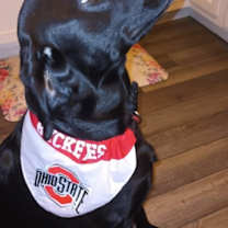 Thumbnail photo of Lilly Marie #1