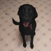 Thumbnail photo of Lilly Marie #2