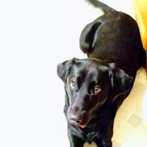 Thumbnail photo of Lilly Marie #3