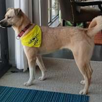 Thumbnail photo of Winnie #2