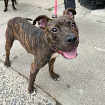 Thumbnail photo of Mulan #2