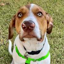 Thumbnail photo of Clark #4