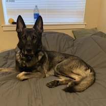 Thumbnail photo of Kobe #1