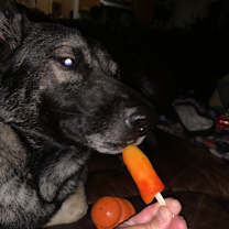 Thumbnail photo of Kobe #3