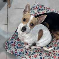 Thumbnail photo of Trina #1