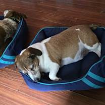 Thumbnail photo of Cooky #4