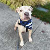 Thumbnail photo of Tanner #1