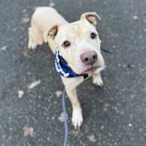 Thumbnail photo of Tanner #3