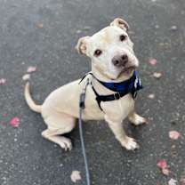 Thumbnail photo of Tanner #4