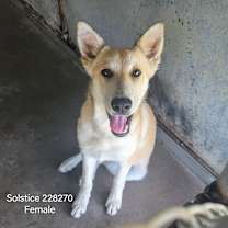 Thumbnail photo of Solstice #3