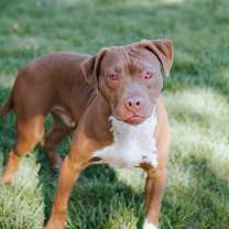 Thumbnail photo of Danny #1