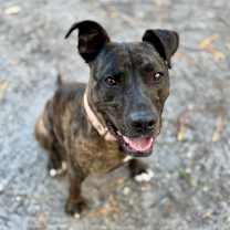 Thumbnail photo of Nivea #1