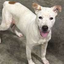 Thumbnail photo of Keith #3