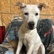 Thumbnail photo of Keith #1