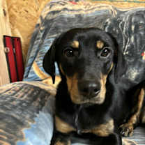 Thumbnail photo of Kelsie #2