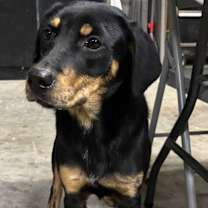 Thumbnail photo of Kelsie #3