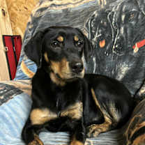 Thumbnail photo of Kelsie #4