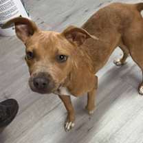 Thumbnail photo of REIGN/URGENT #1