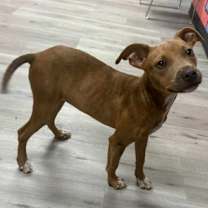 Thumbnail photo of REIGN/URGENT #3