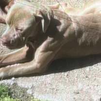 Thumbnail photo of Cash #1