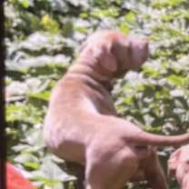 Thumbnail photo of Cash #2