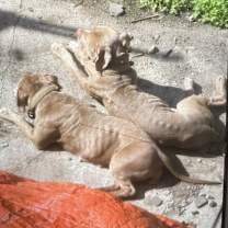 Thumbnail photo of Cash #3