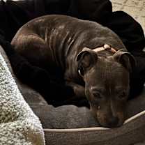 Thumbnail photo of Coda #1