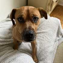 Thumbnail photo of Meta #1